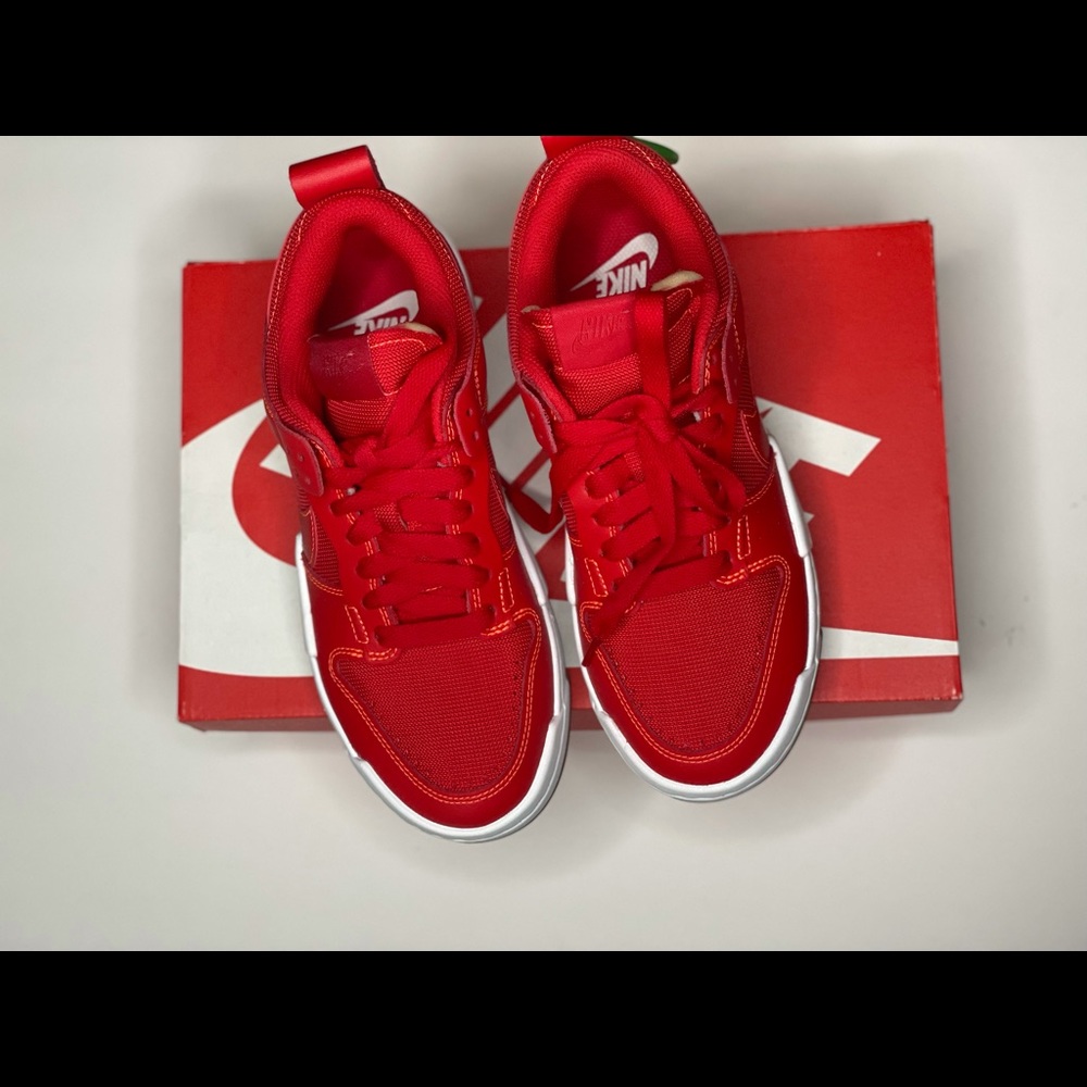 Nike Dunk Low Disrupt